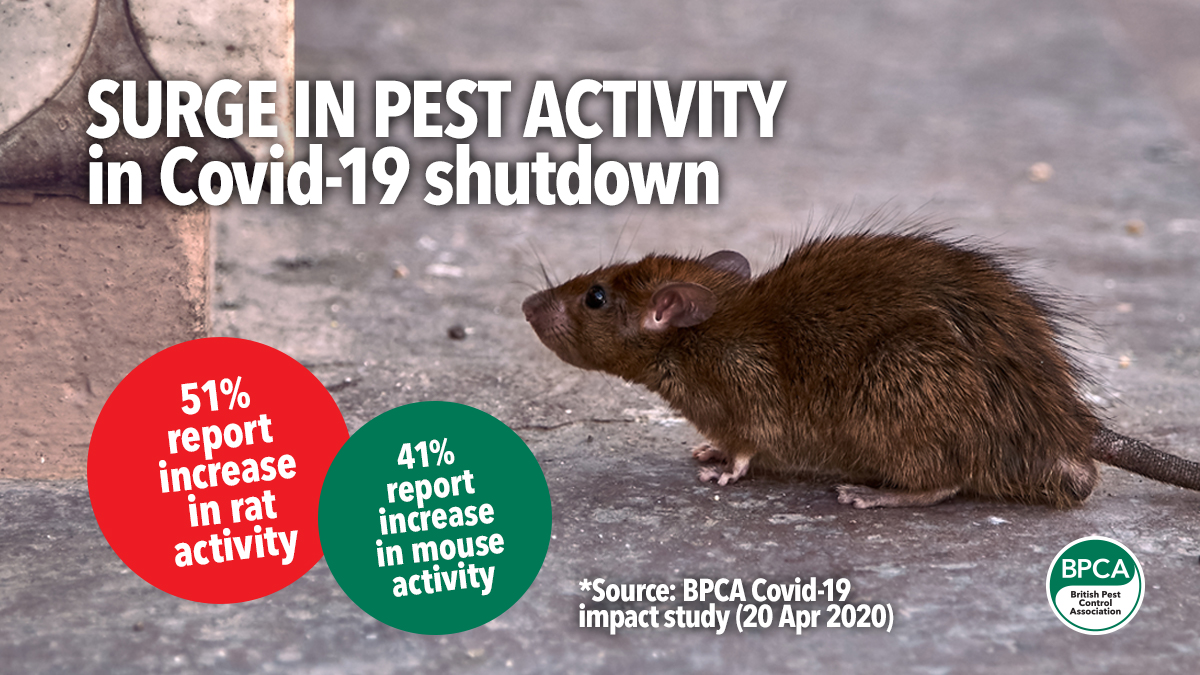 56 Press release increase in pest activity 56 Press release increase in pest activity